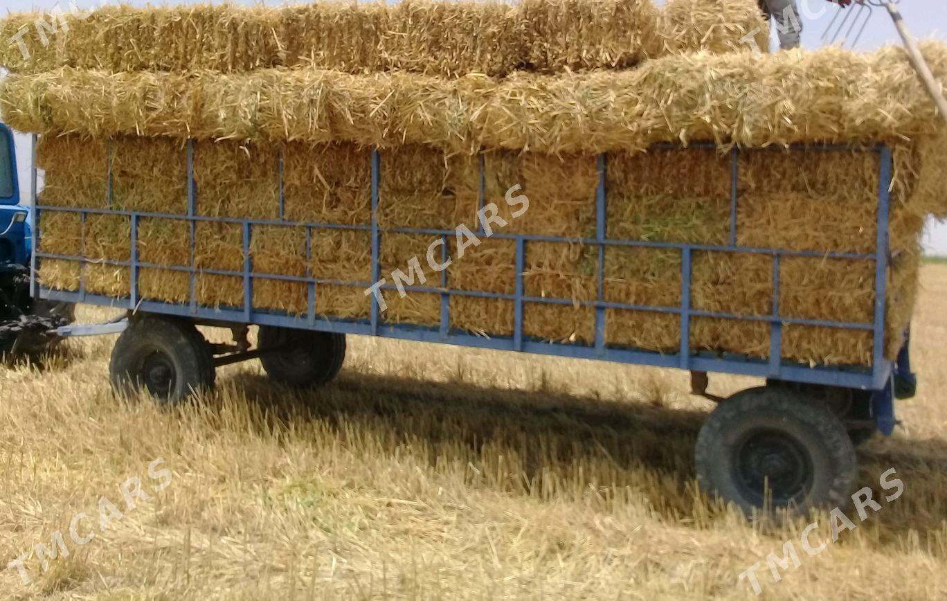 MTZ 80 2010 - 15 000 TMT - Bäherden - img 1