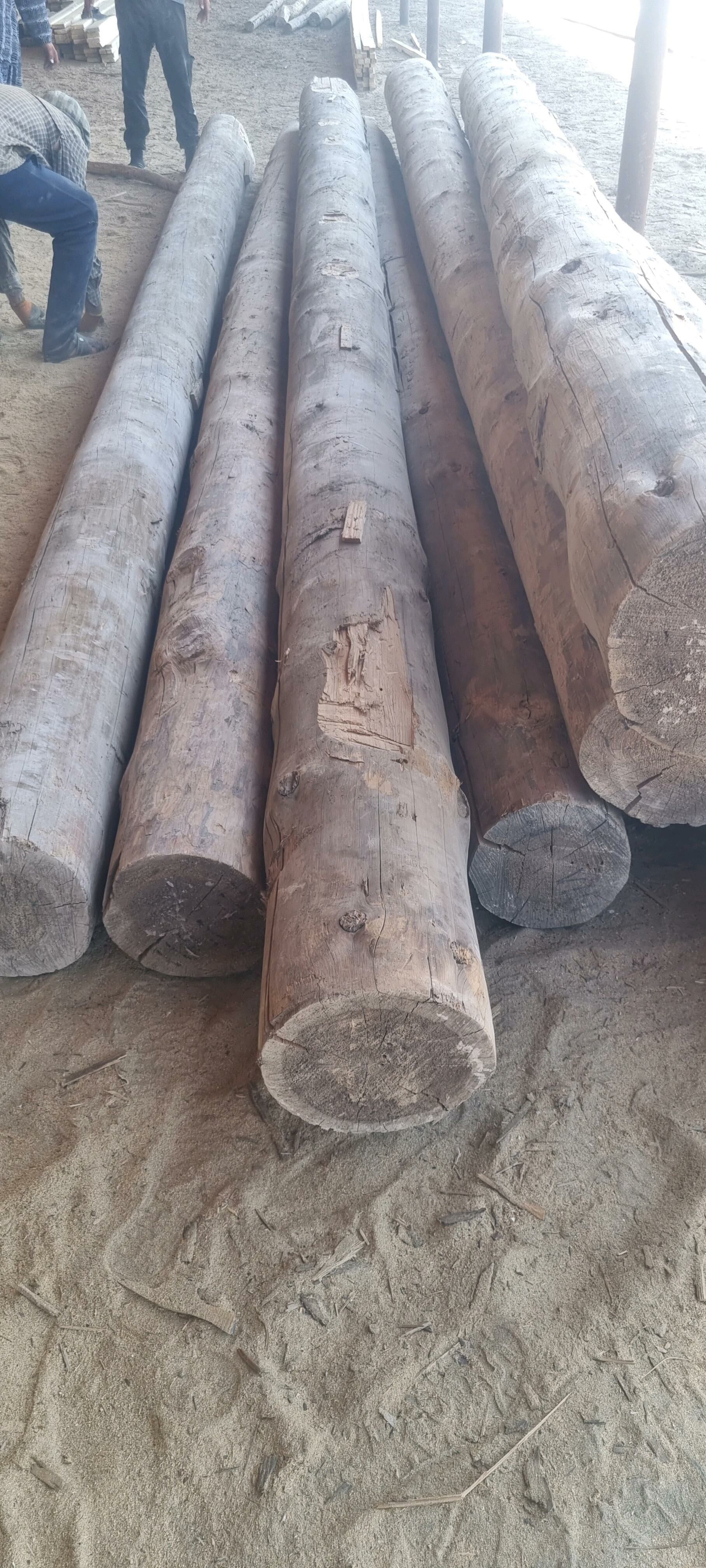 Polluk agac laminat alyas - Ашхабад - img 2