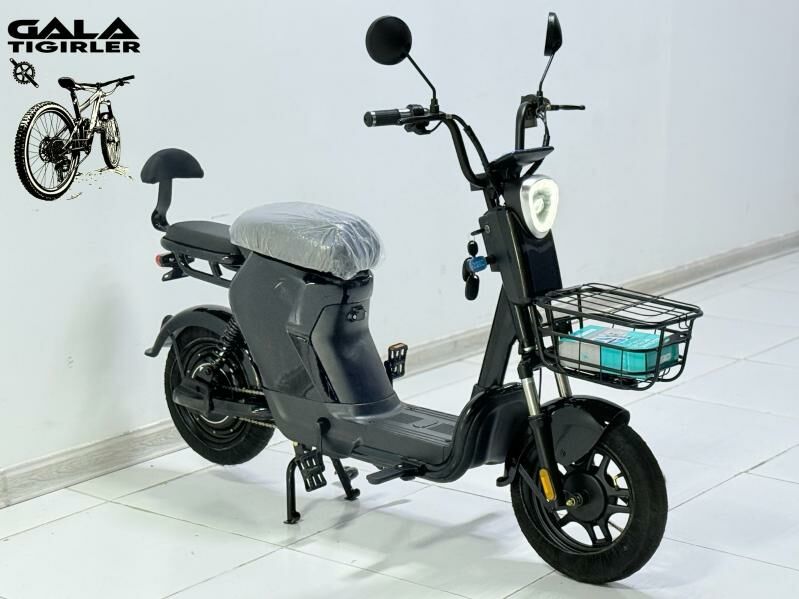 BASEYKA INTEX TIGIR SAMAKAT - Gurtly - img 3