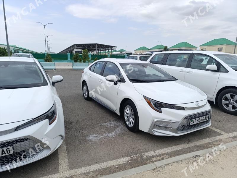Toyota Corolla 2020 - 240 000 TMT - Хитровка - img 2
