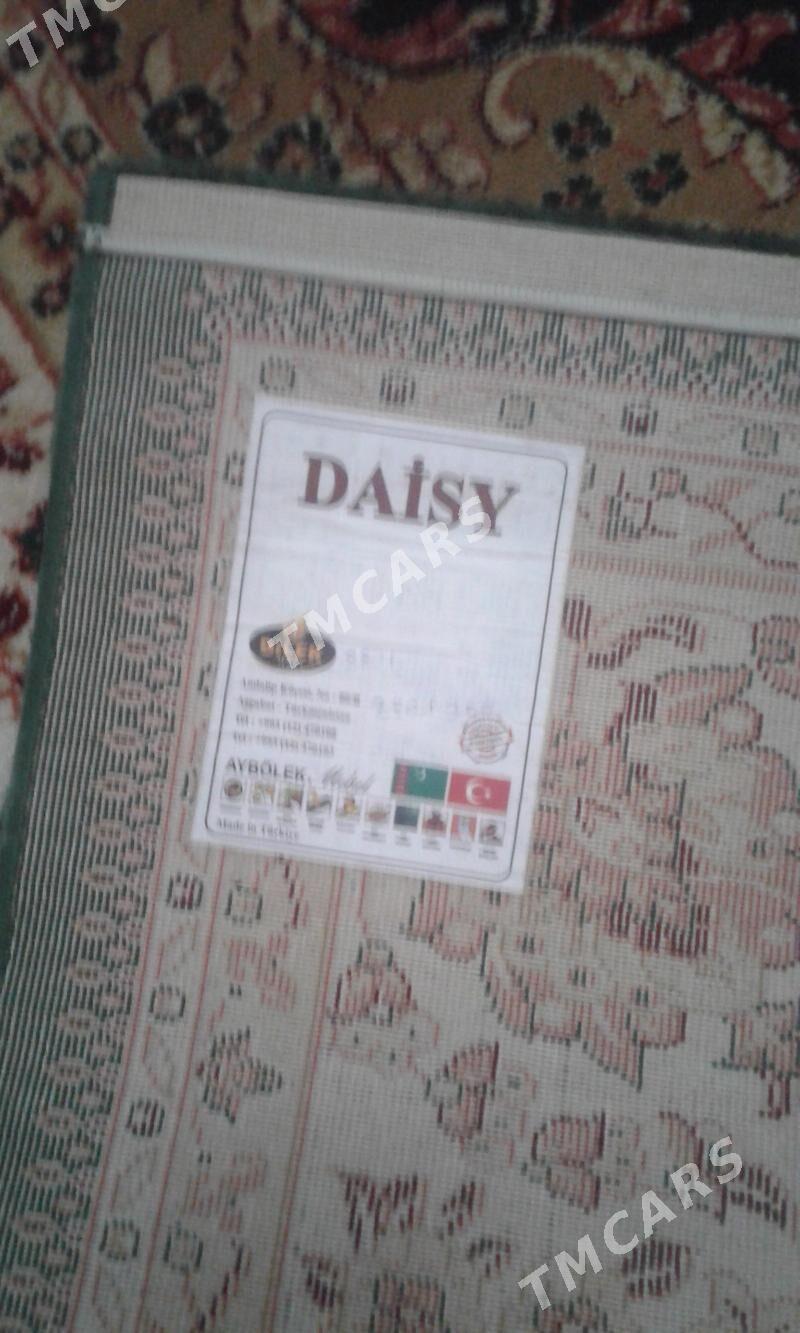 Haly - Balkanabat - img 2