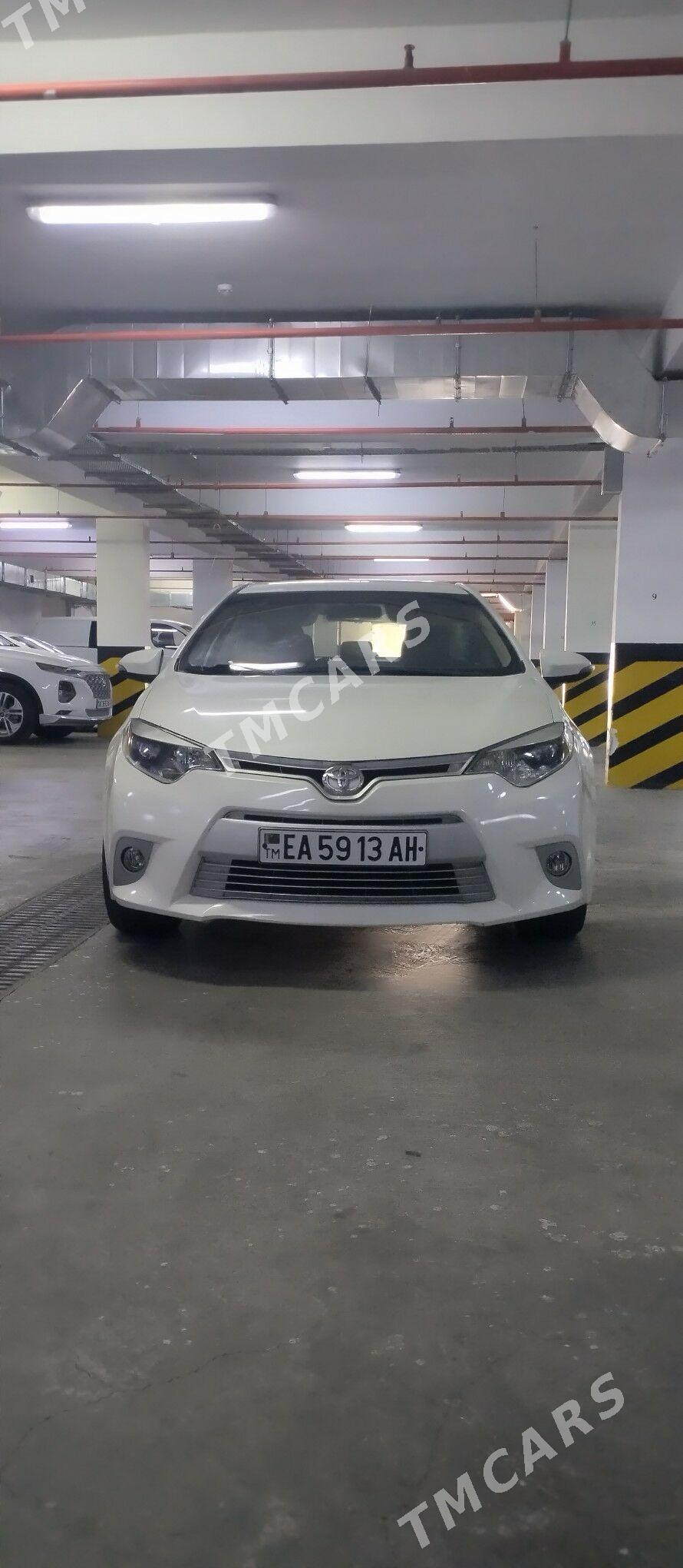 Toyota Corolla 2014 - 185 000 TMT - 15-й этап - img 2