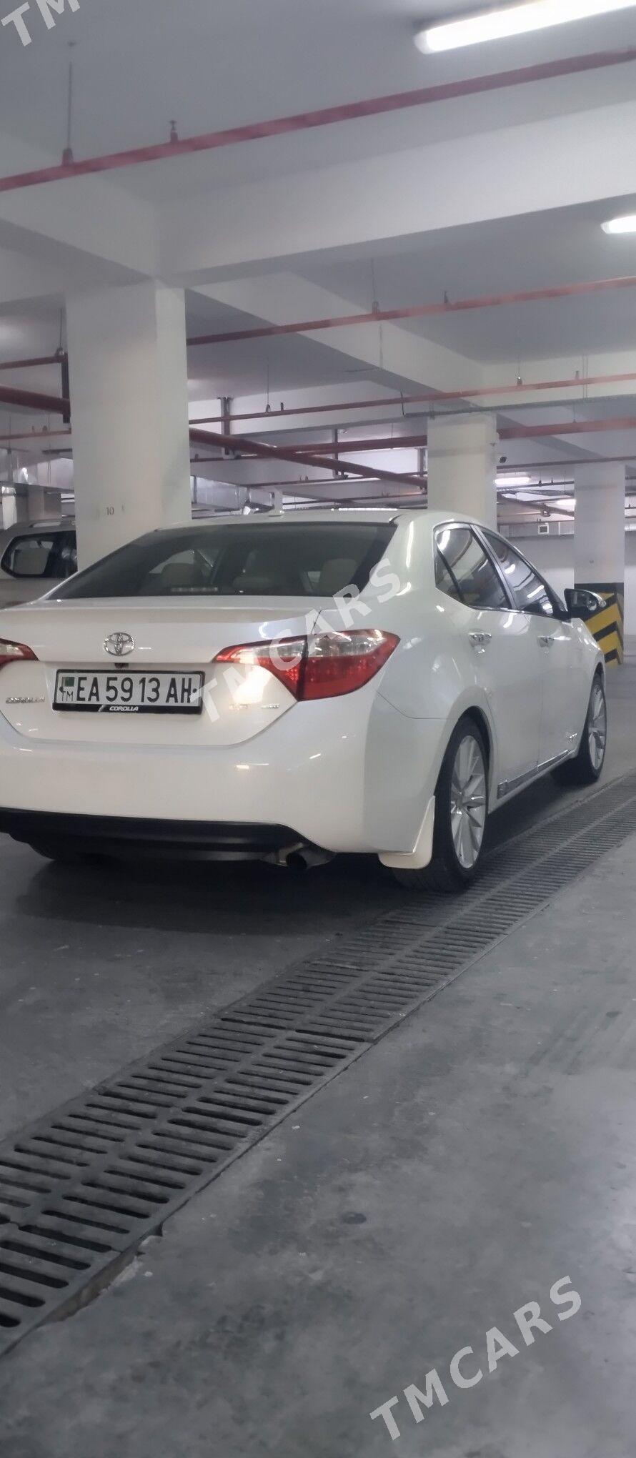 Toyota Corolla 2014 - 185 000 TMT - 15-й этап - img 3
