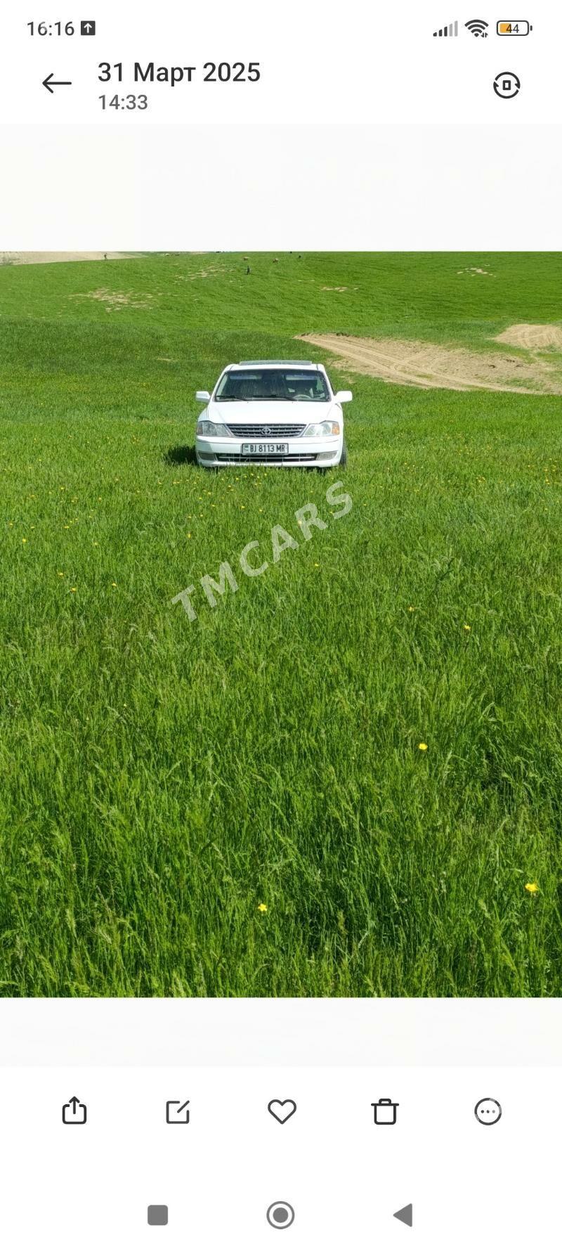 Toyota Avalon 2000 - 185 000 TMT - Тагтабазар - img 2