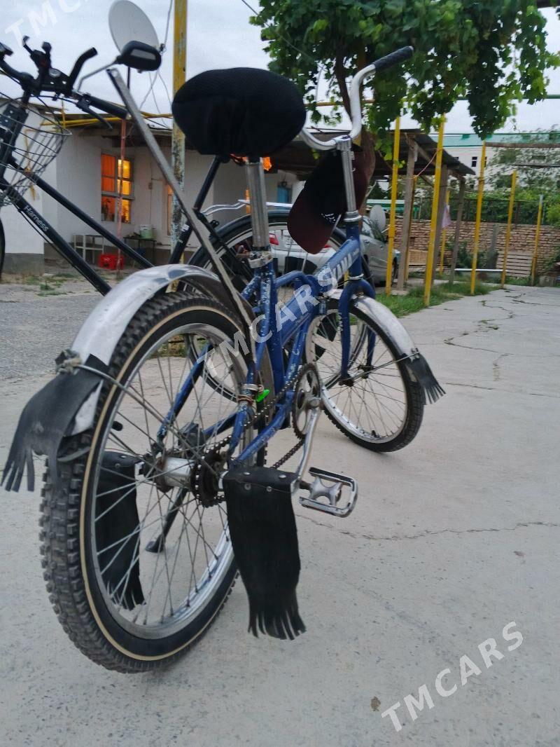 Kama tigir - Änew - img 2