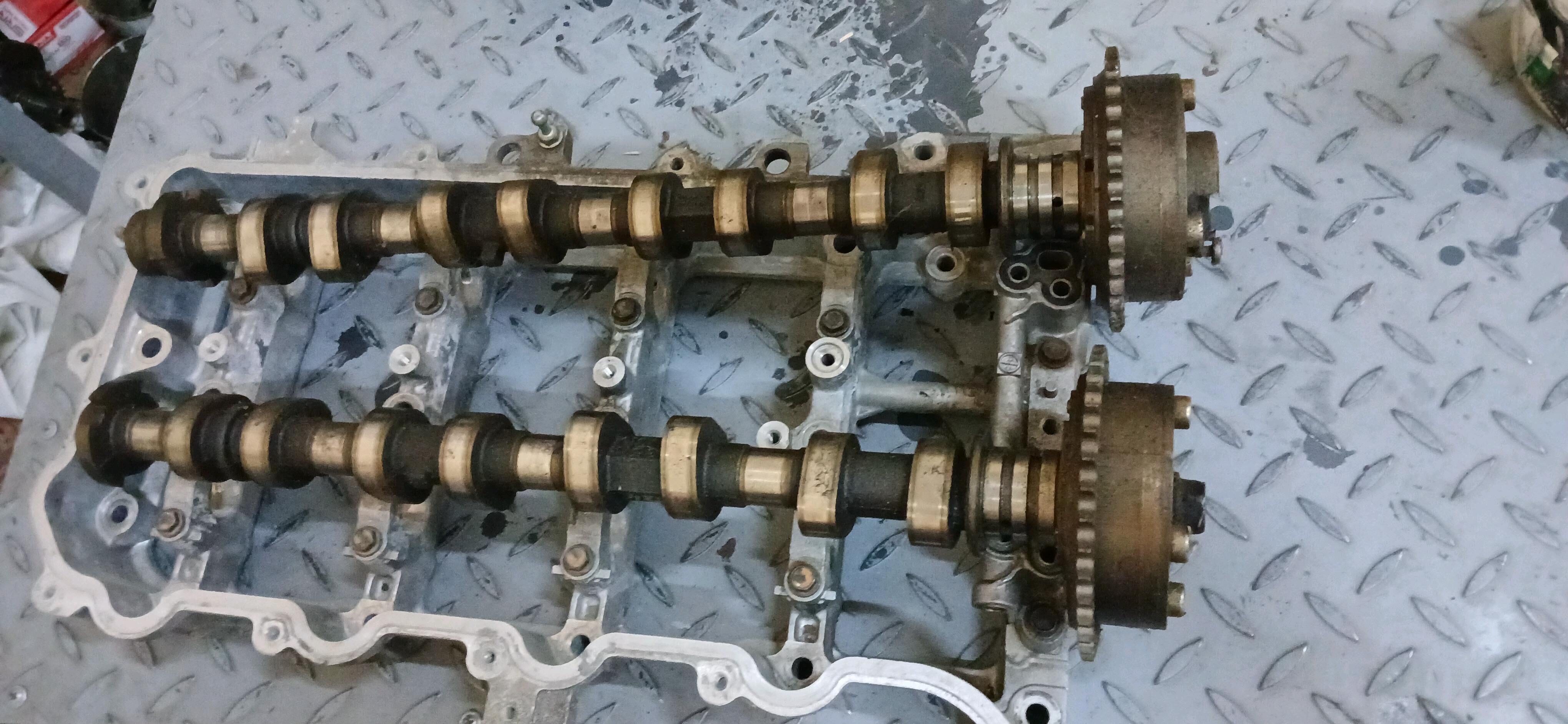 wanus  2.5  okiz kelle 900 TMT - Aşgabat - img 2