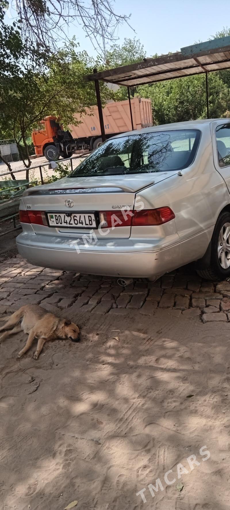 Toyota Camry 2000 - 125 000 TMT - Türkmenabat - img 2