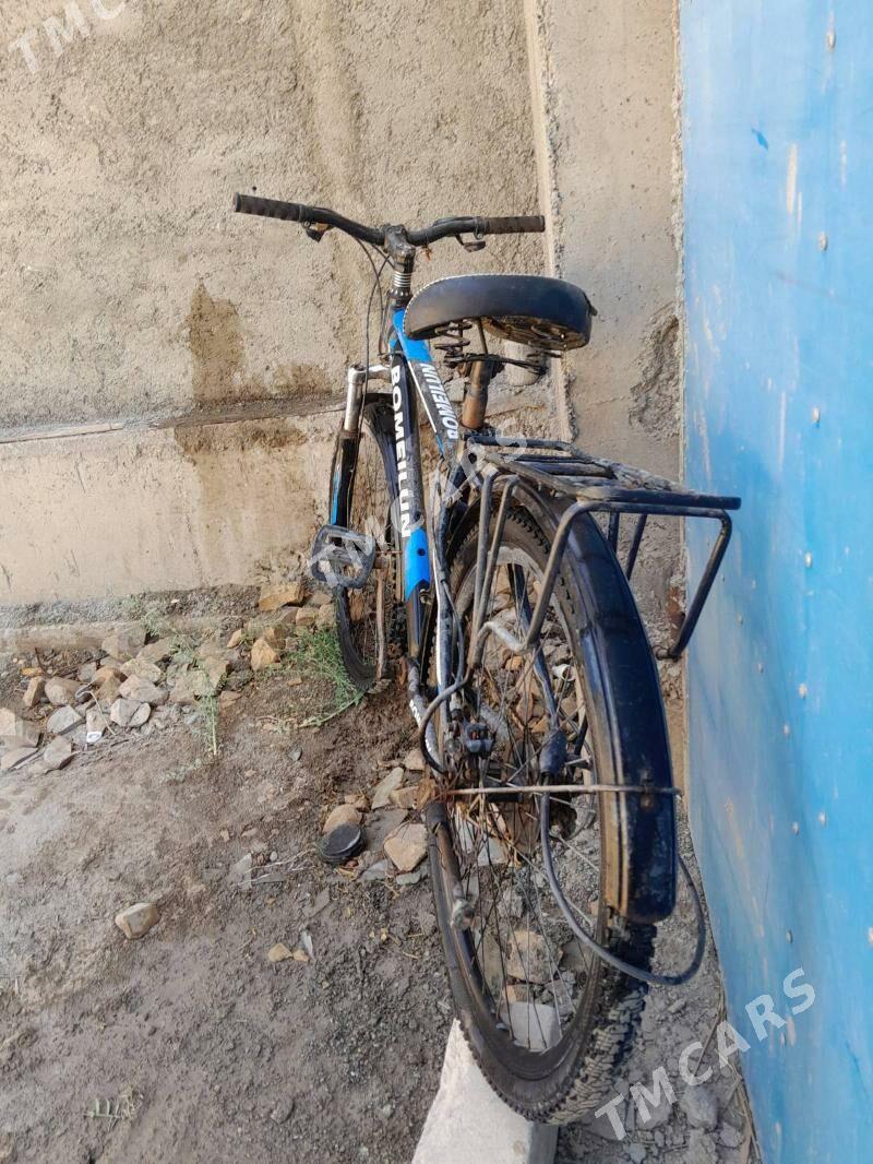 Bomelun tigir. - Köneürgenç - img 2