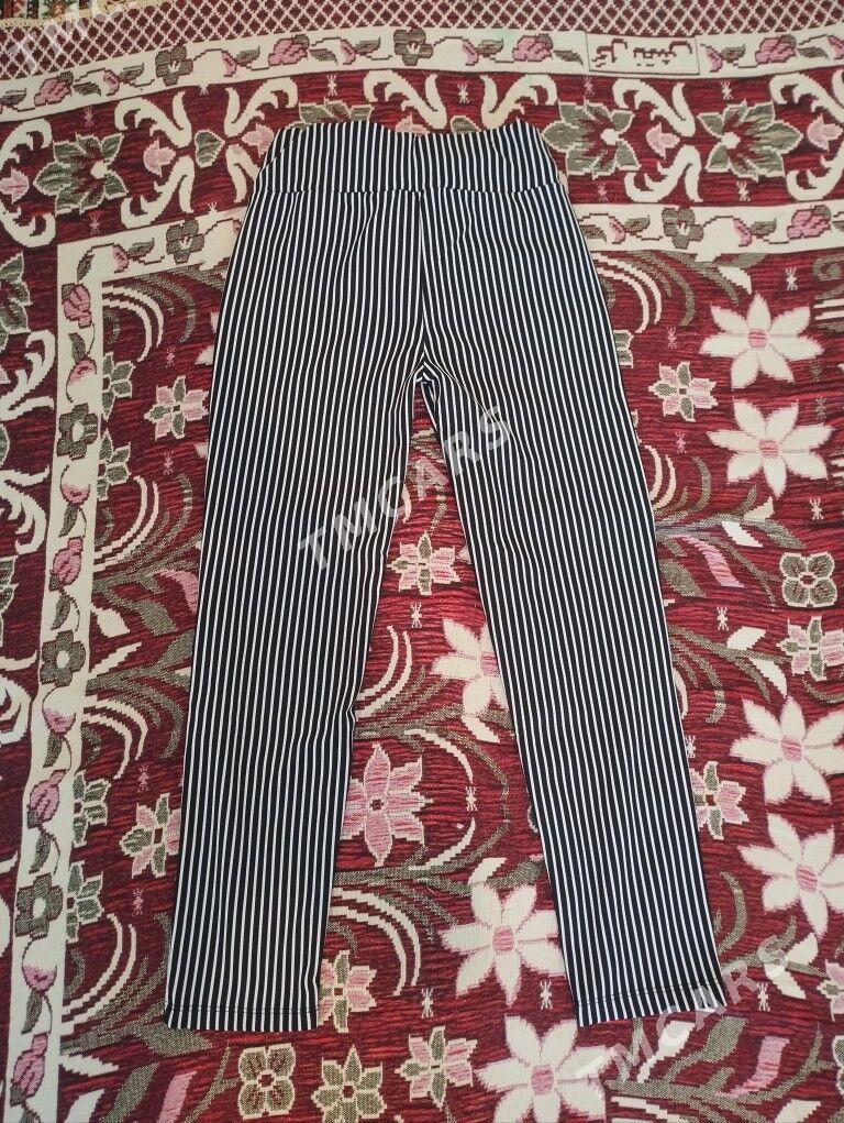 Zebra balak - Dosaaf - img 2