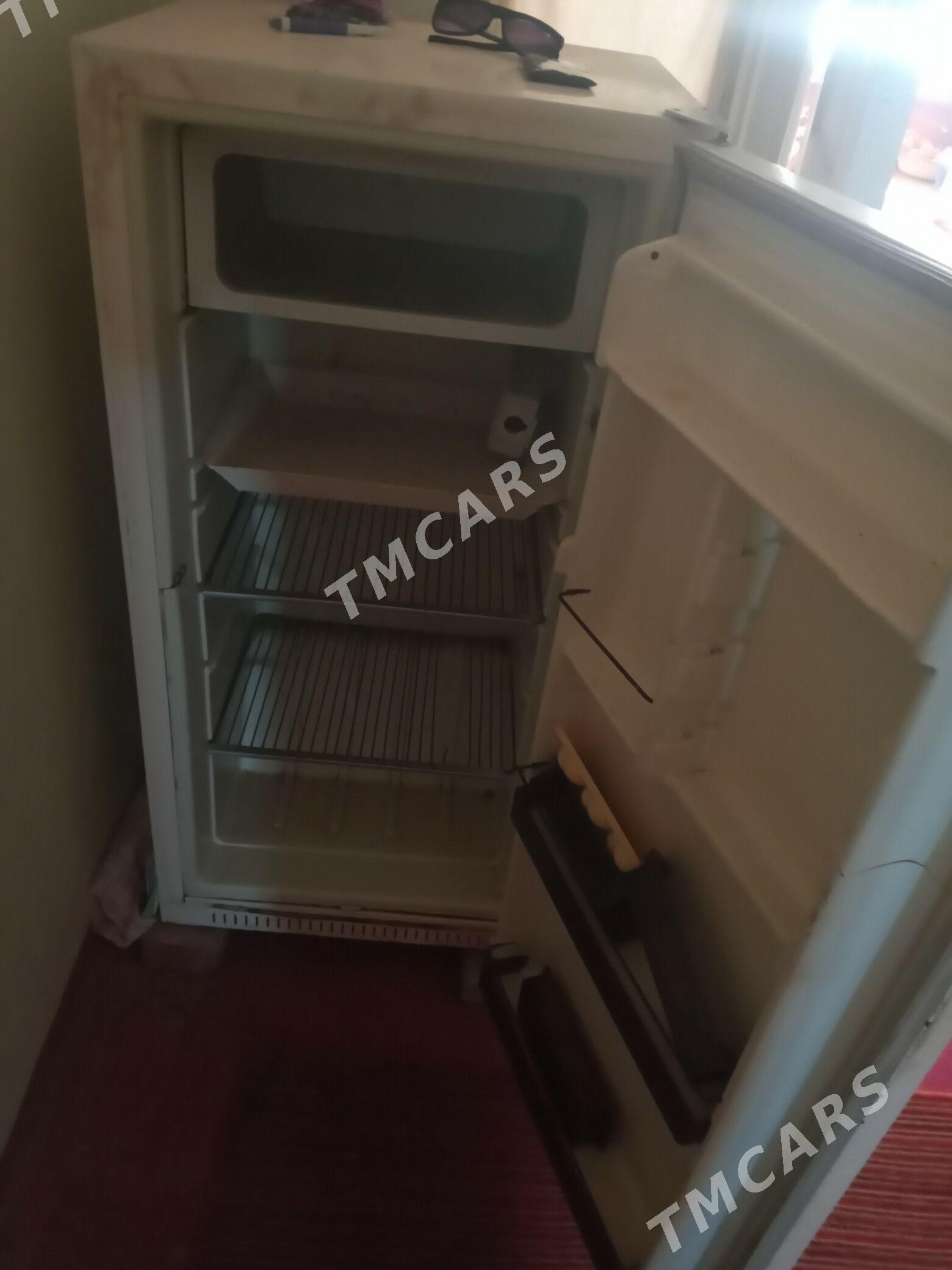 kirmaşyn haladilnik - Görogly (Tagta) - img 2