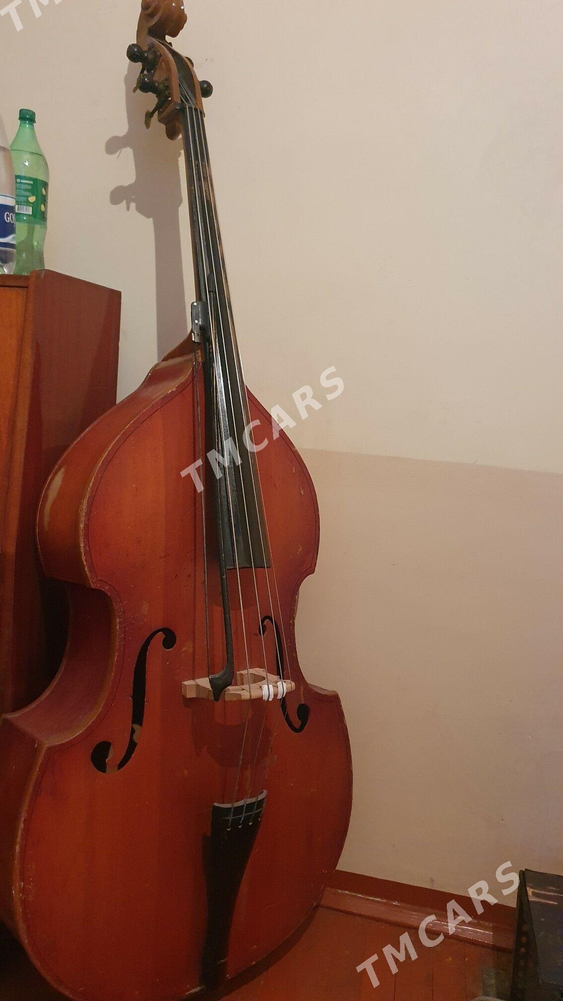 kontrabas saz gural - Murgap - img 2