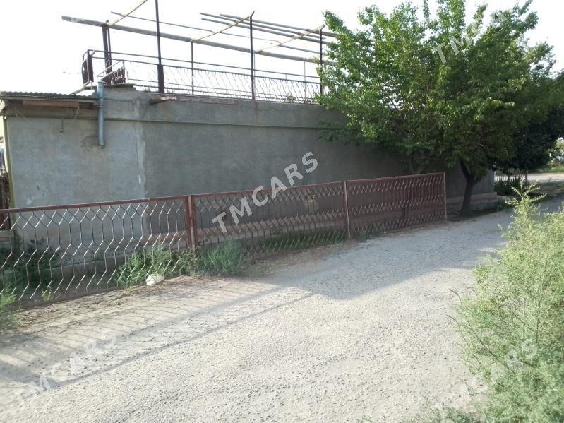 Дача продается - Çärjew - img 3