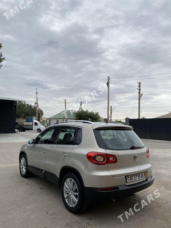 Volkswagen Tiguan 2010 - 155 000 TMT - Ашхабад - img 2