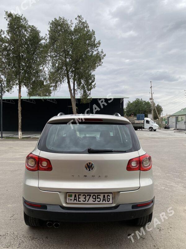 Volkswagen Tiguan 2010 - 155 000 TMT - Ашхабад - img 4