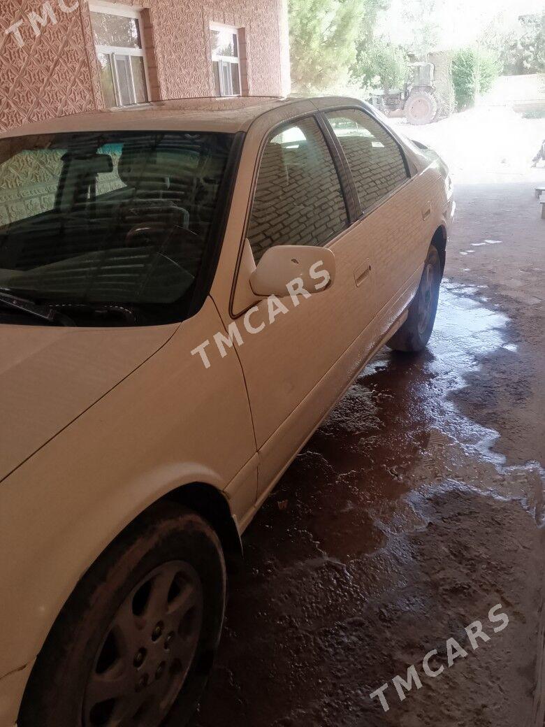 Toyota Camry 2001 - 145 000 TMT - Kerki - img 5