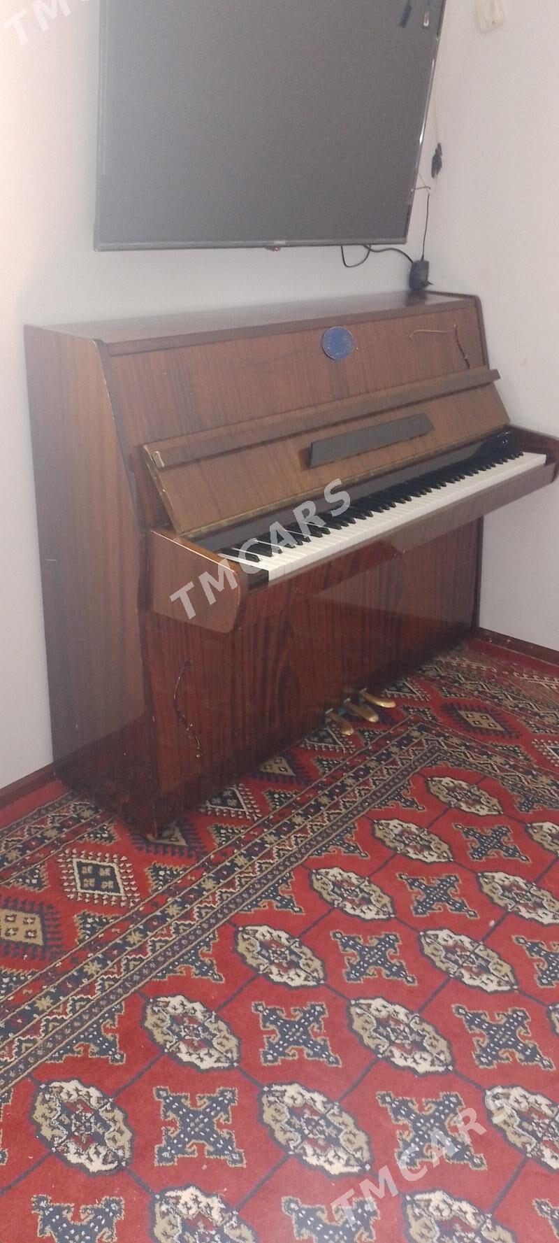 pionina - Гаудан "В" - img 5
