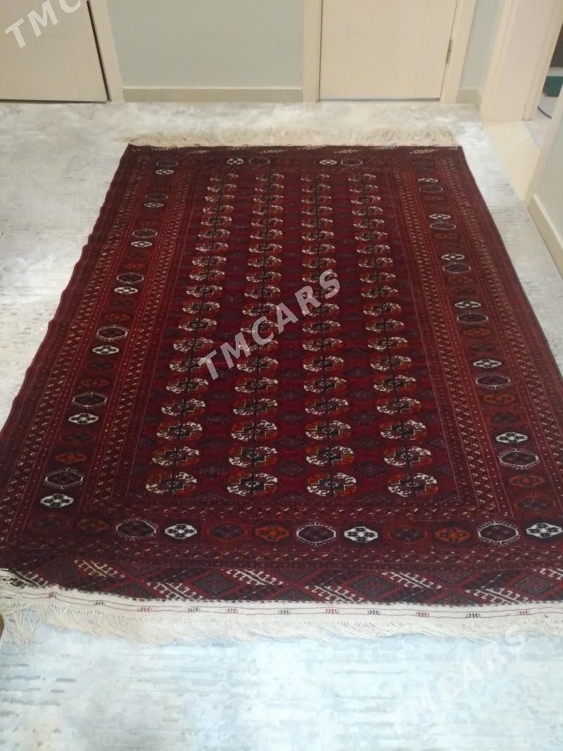 El haly - Köşi - img 2