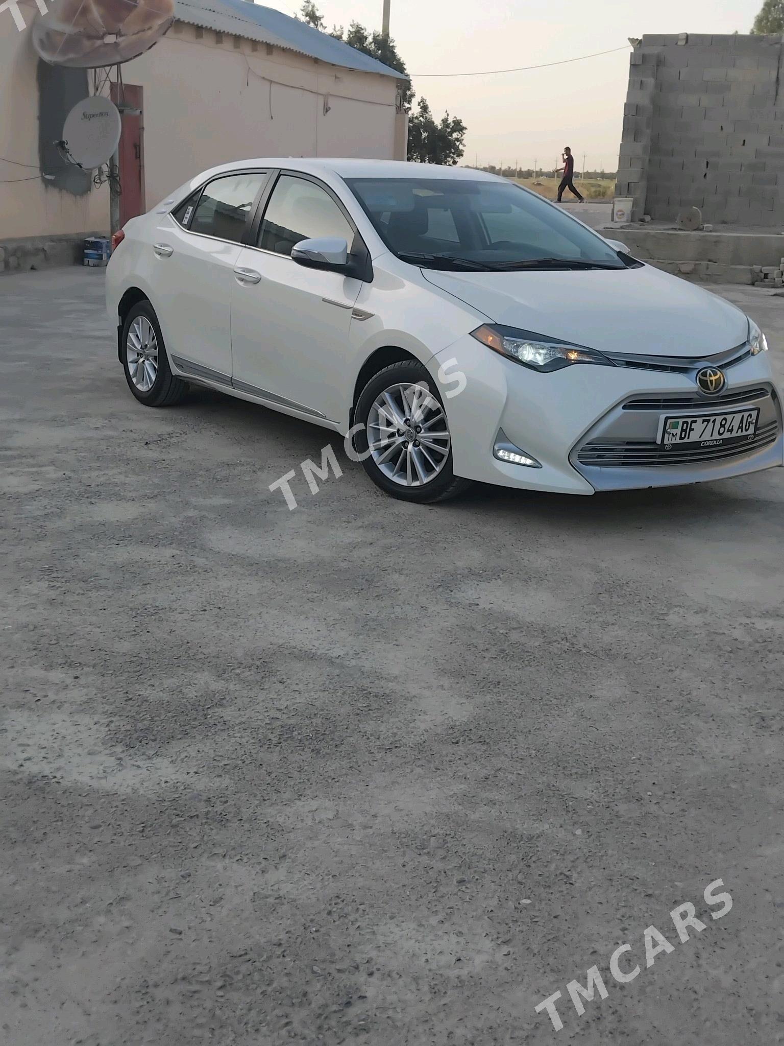 Toyota Corolla 2014 - 185 000 TMT - Ашхабад - img 6