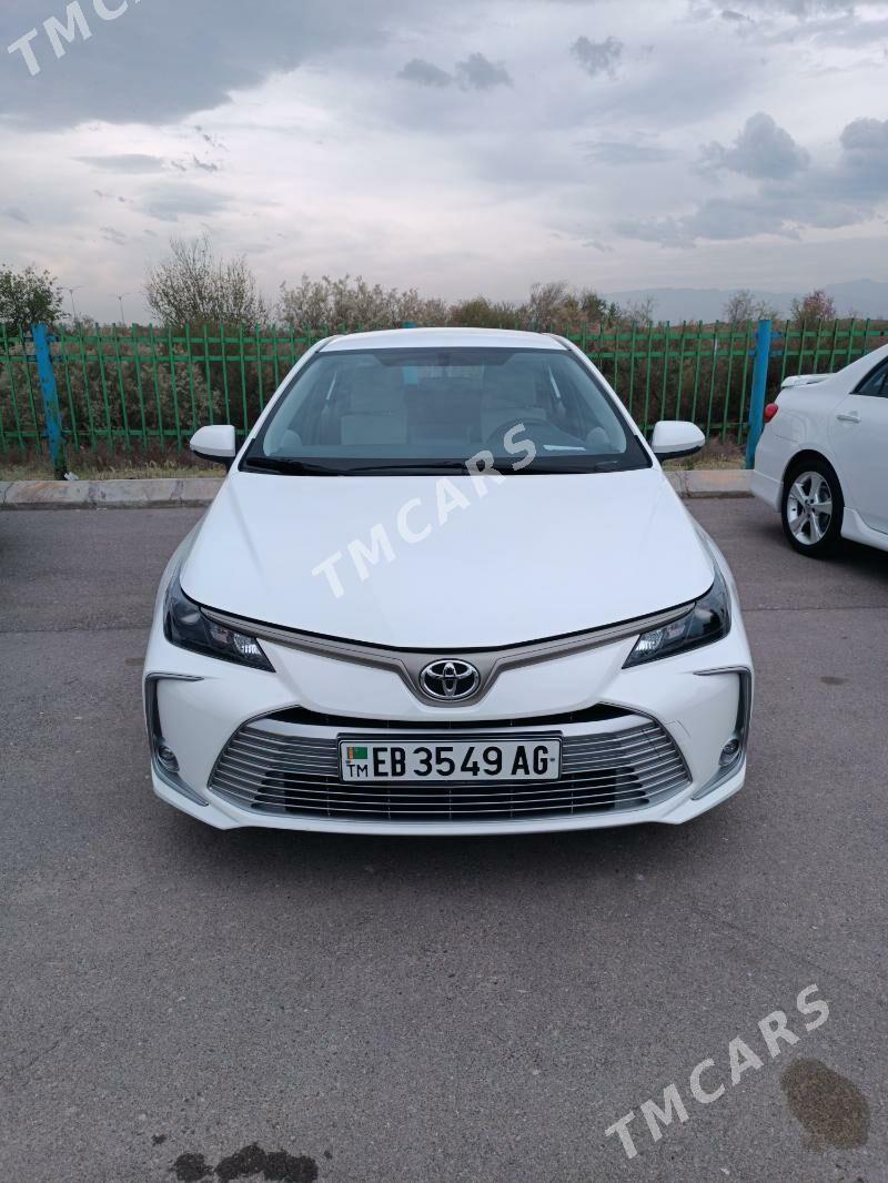 Toyota Corolla 2021 - 300 000 TMT - Aşgabat - img 2