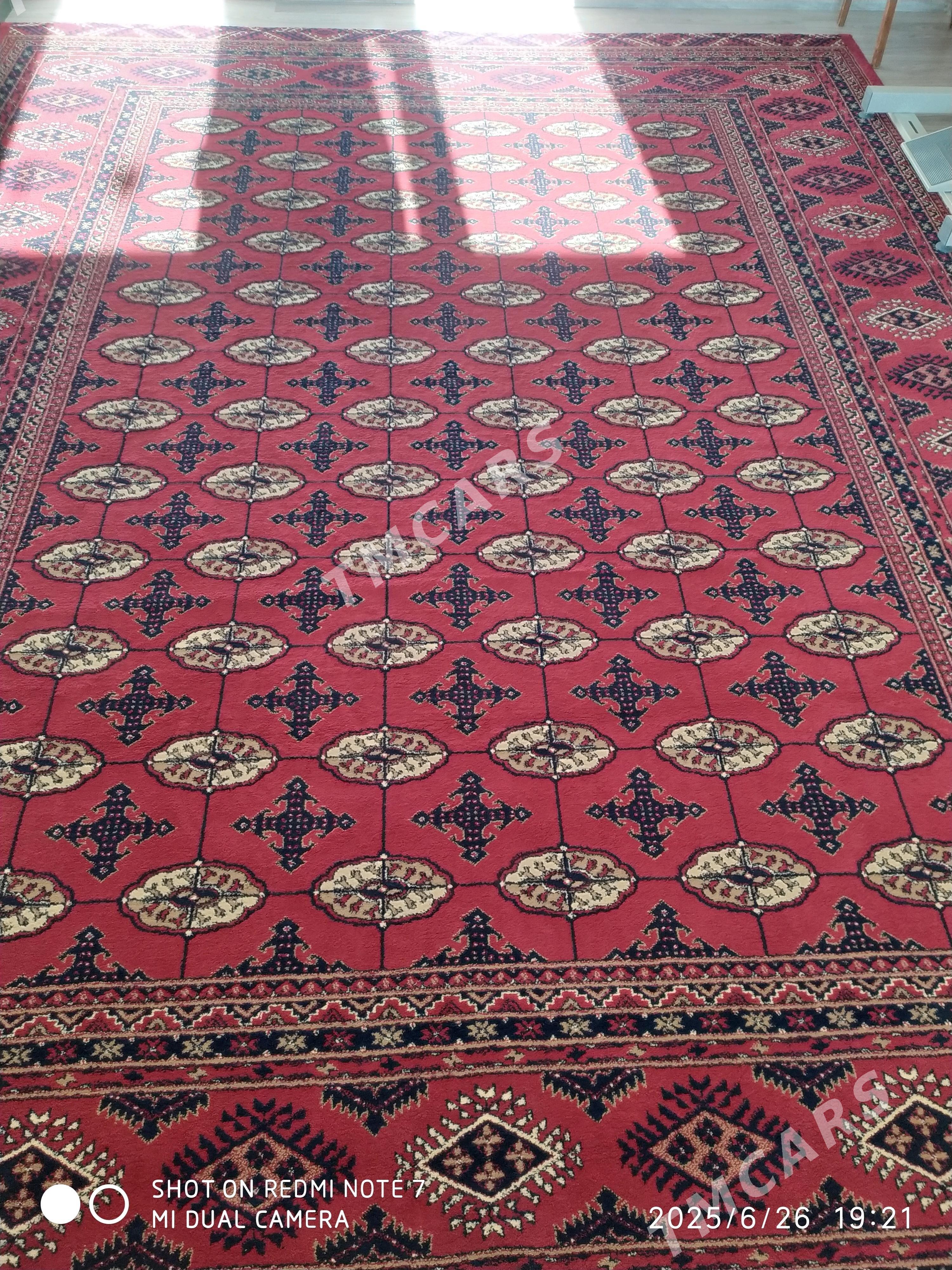 haly - Türkmenbaşy - img 2