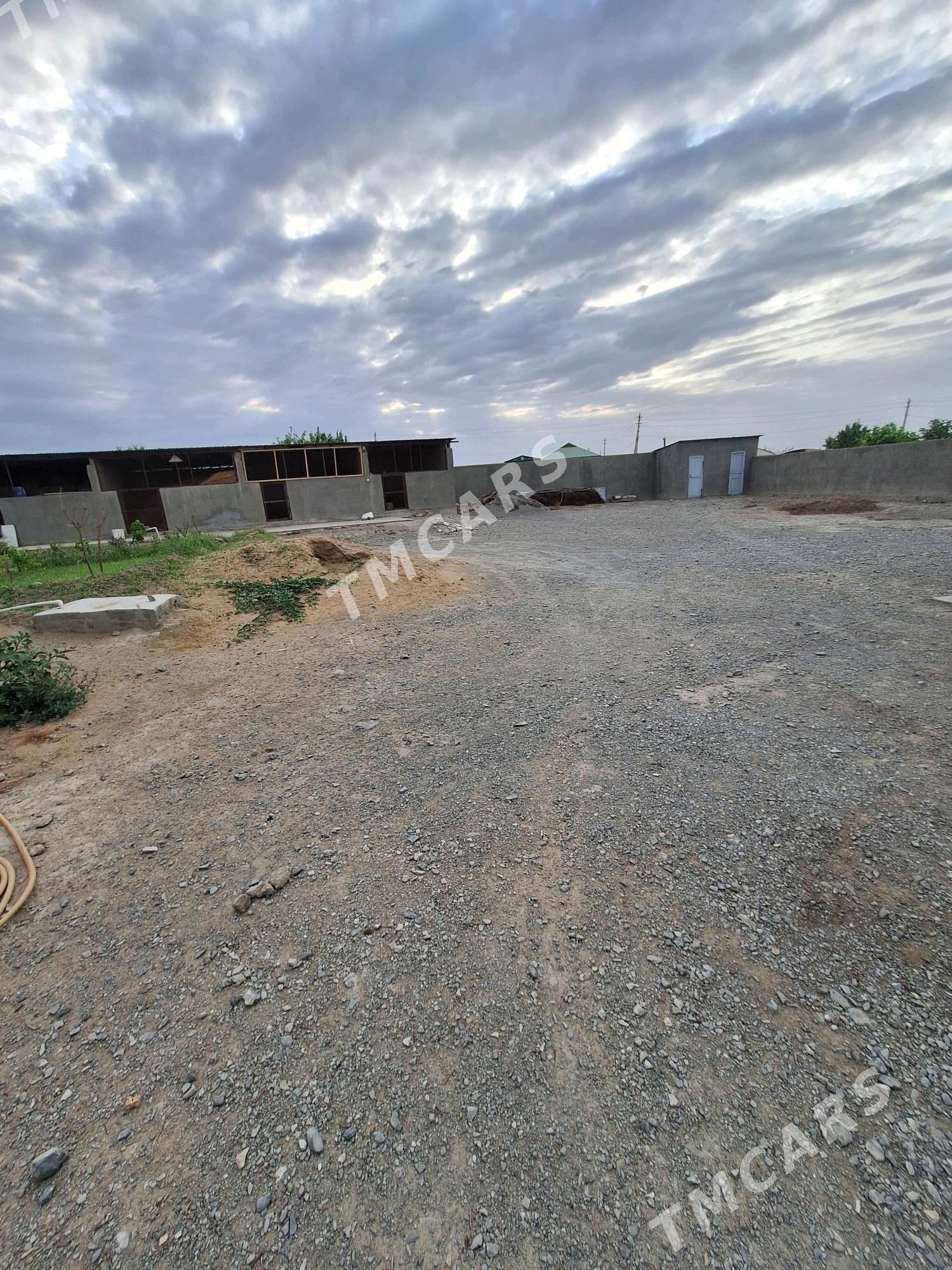 Baherden (Sünçe) 33sotok - Bäherden - img 2