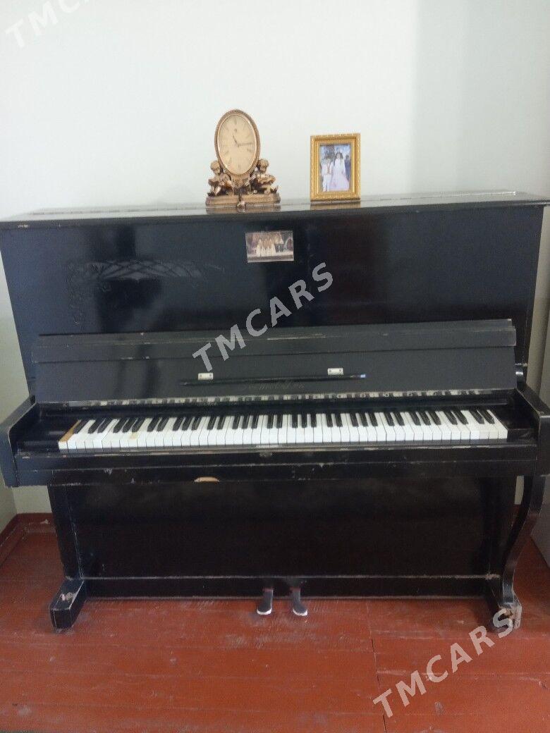 fortepiano - Mary - img 2