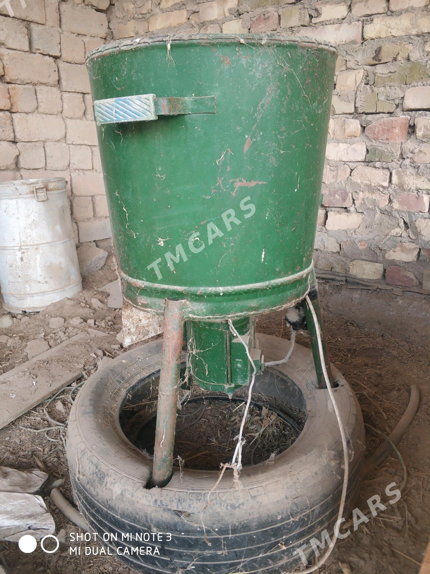 Ot üweyan - Tejen - img 1