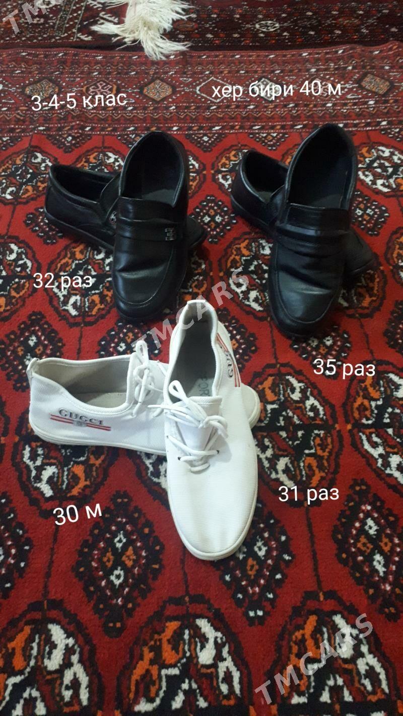 çaga egin-eşikleri - Daşoguz - img 5