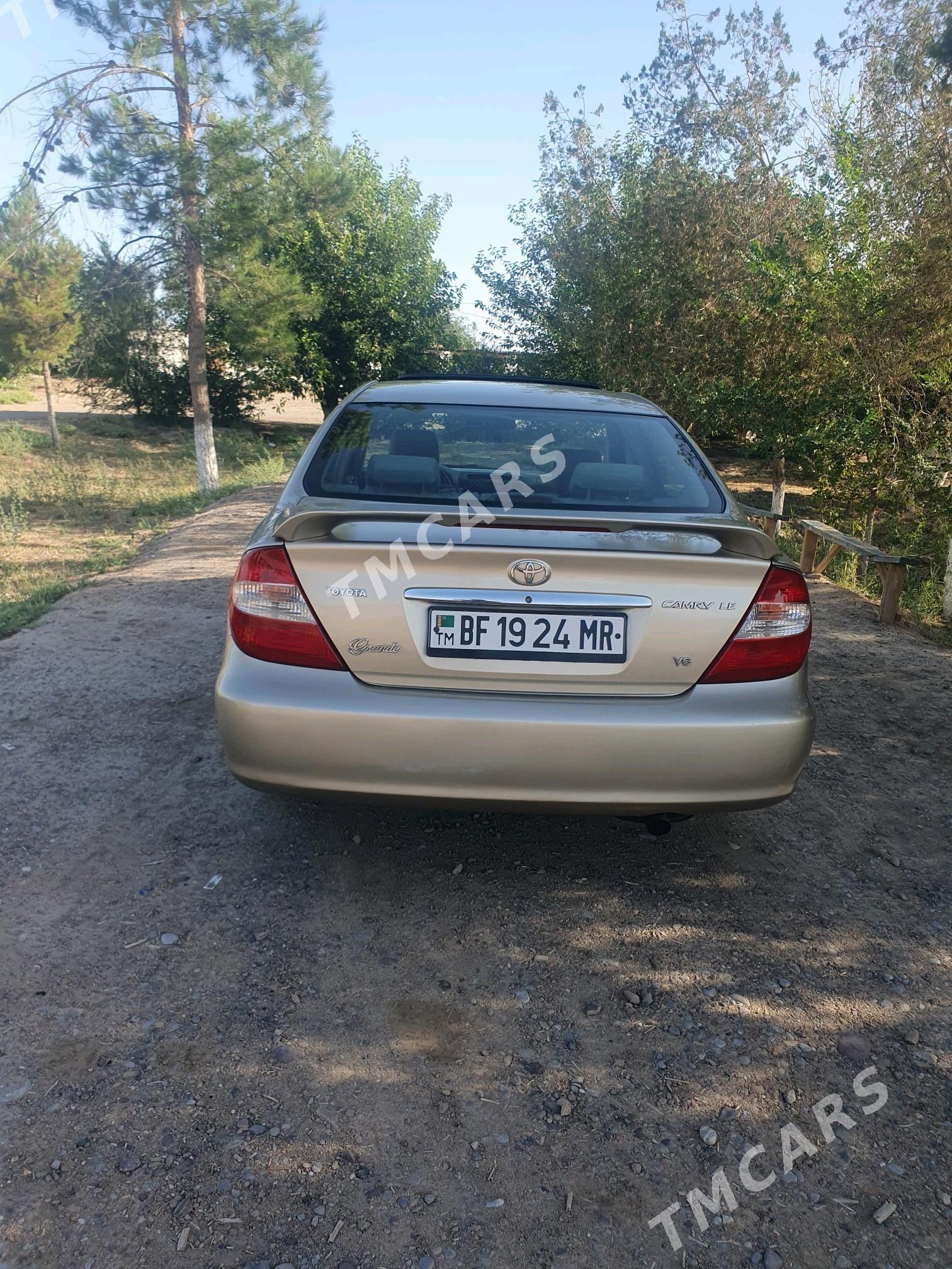 Toyota Camry 2003 - 165 000 TMT - Ёлётен - img 5