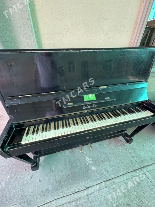 Piano amatly - Анев - img 2