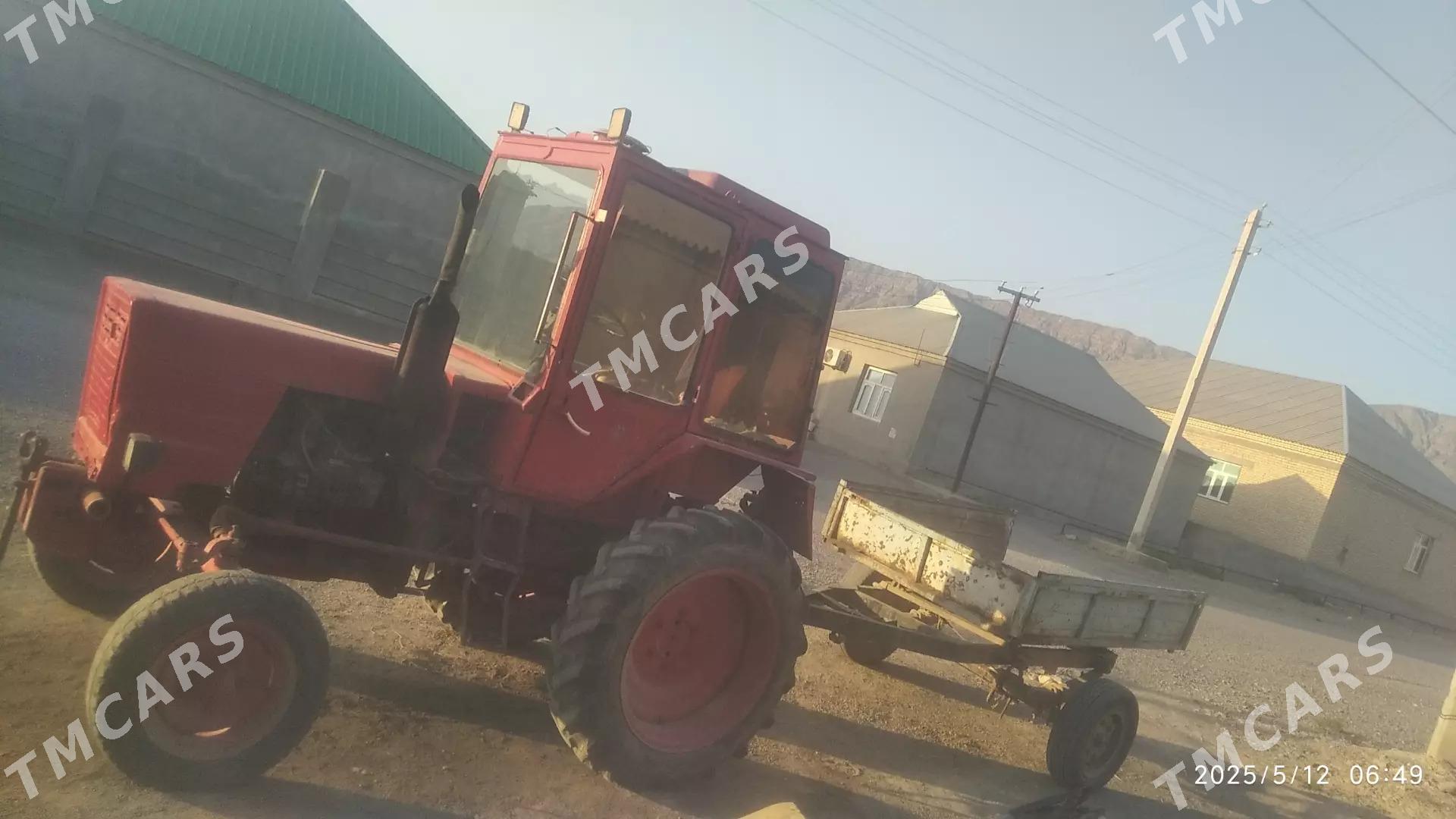 MTZ T-28 2025 - 45 000 TMT - Гёкдепе - img 2