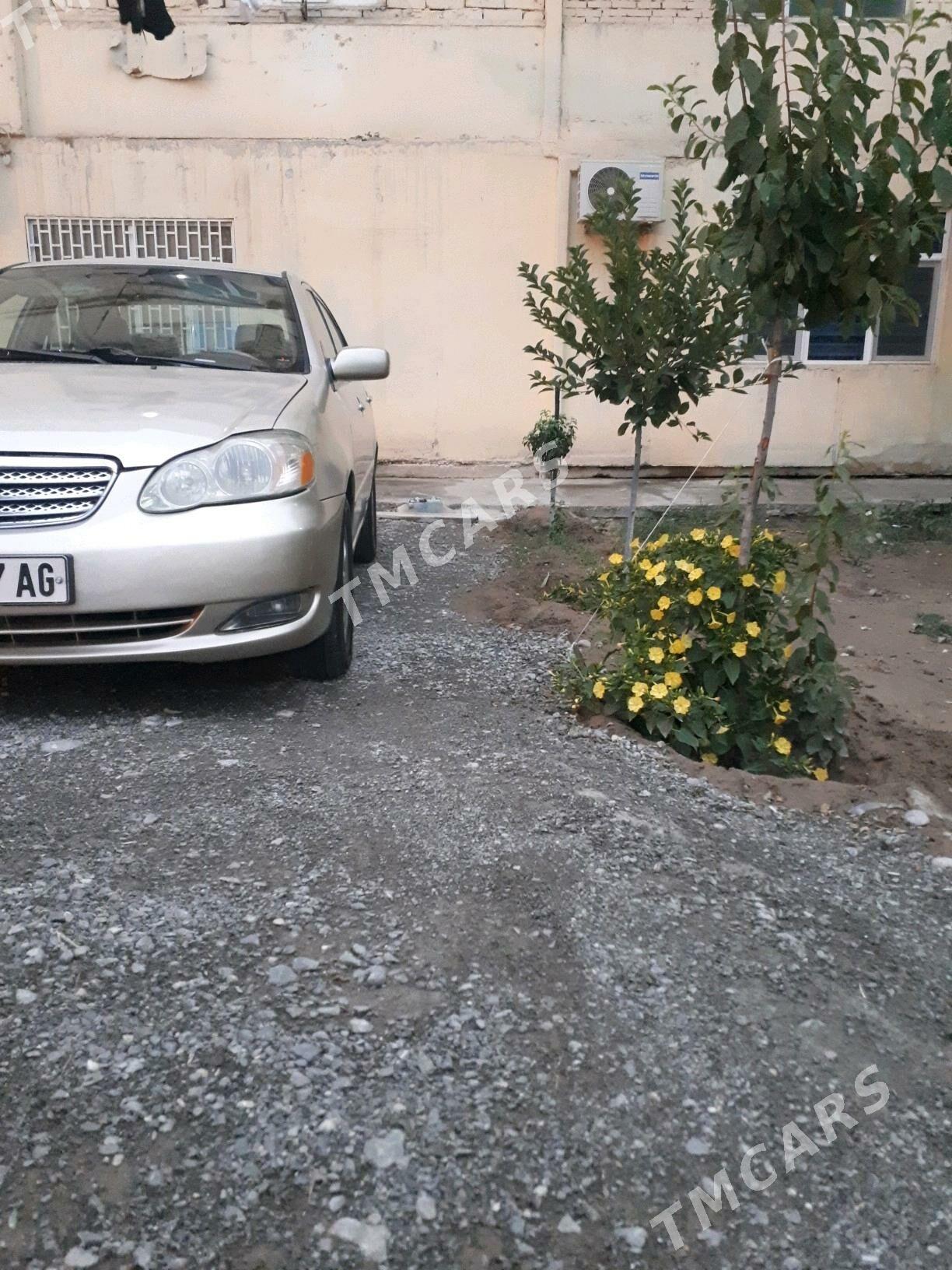 Toyota Corolla 2006 - 125 000 TMT - Бузмеин - img 2