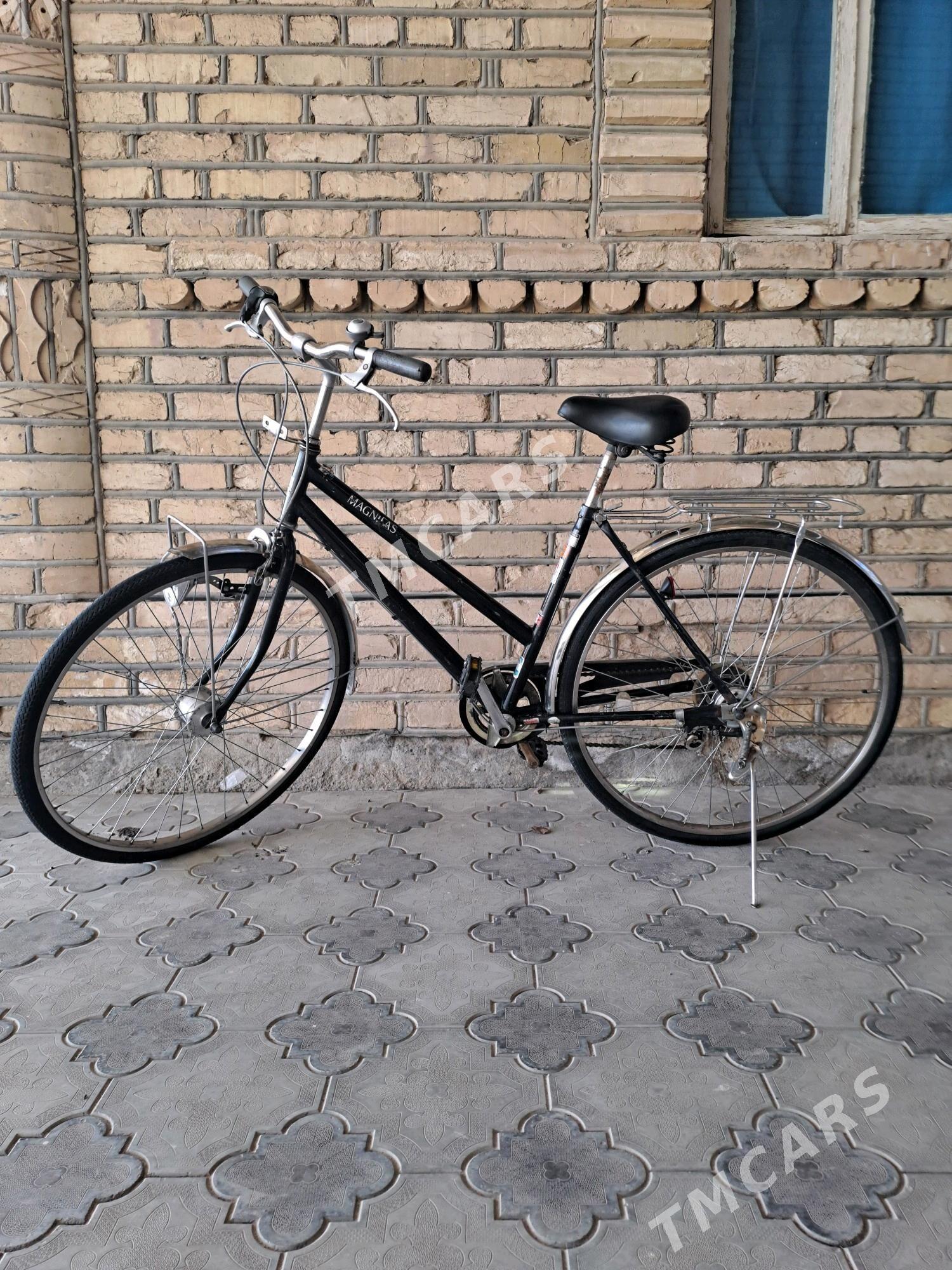 28 Welsopet - Мургап - img 2