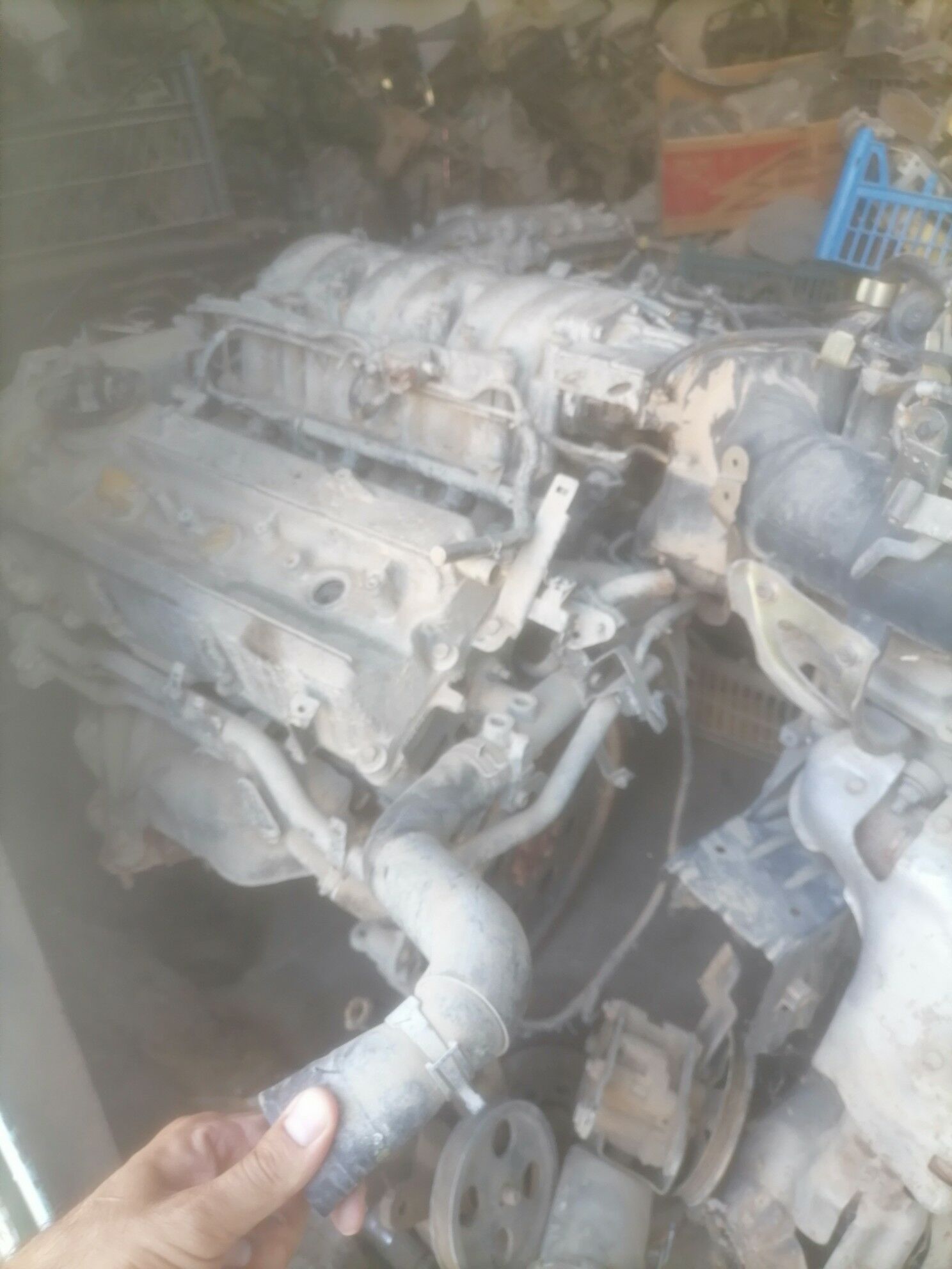 2 lik mator plasmas kriska 9 500 TMT - Balkanabat - img 2