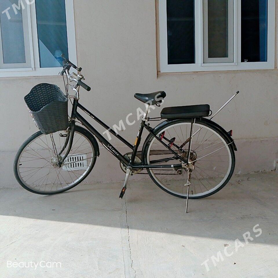 WELİK - Murgap - img 2