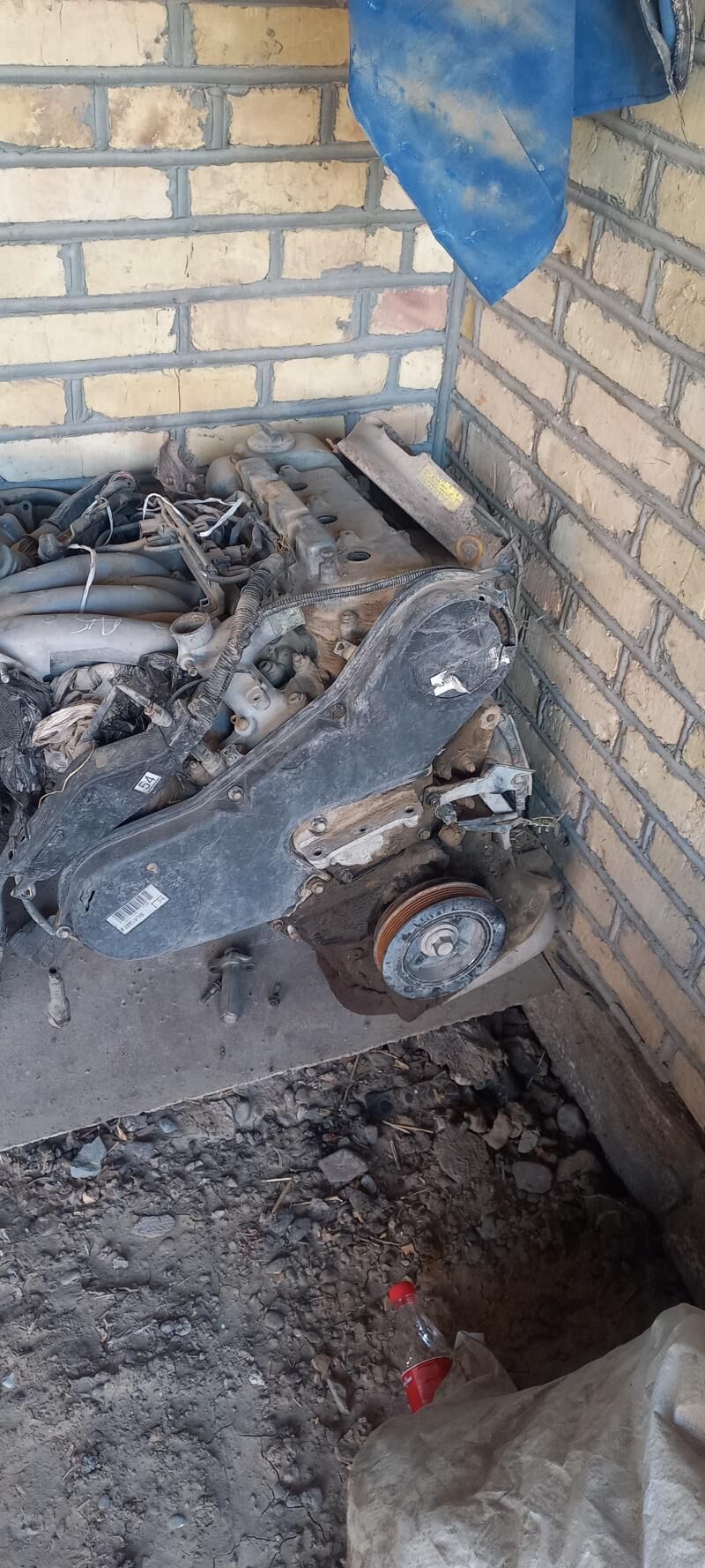 Mator gara 2 200 TMT - Mary - img 2