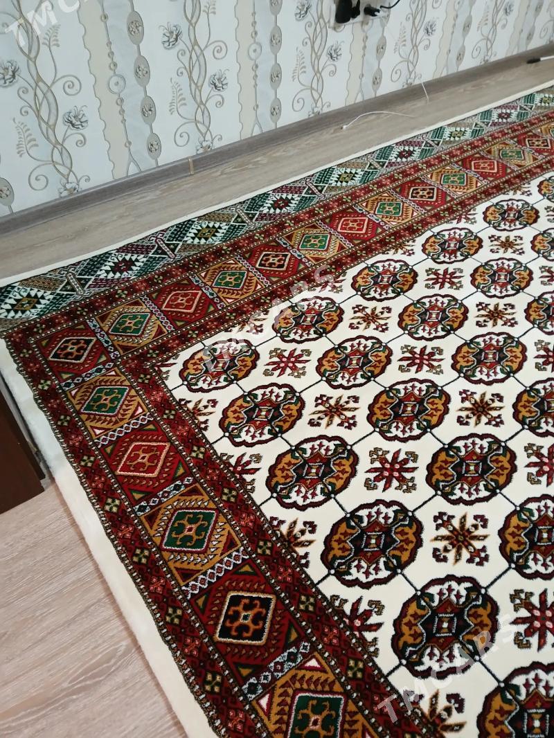 haly - Balkanabat - img 4