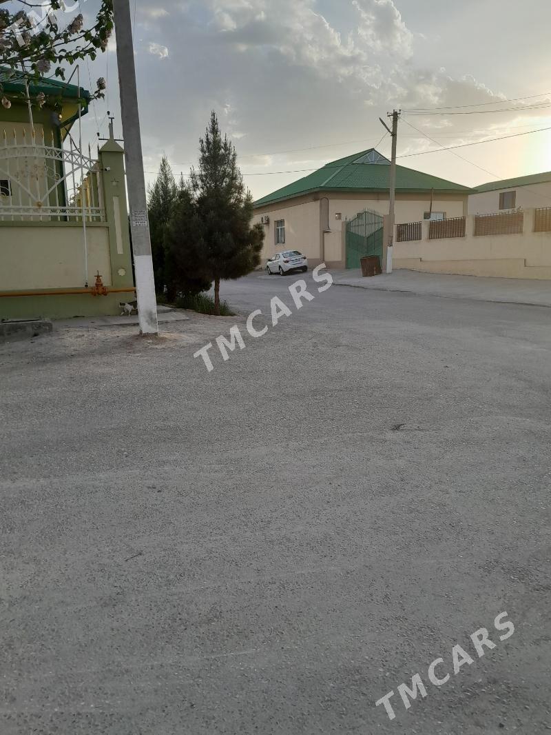Satlyk 4.5 sotyk Mirewe - Багир - img 2