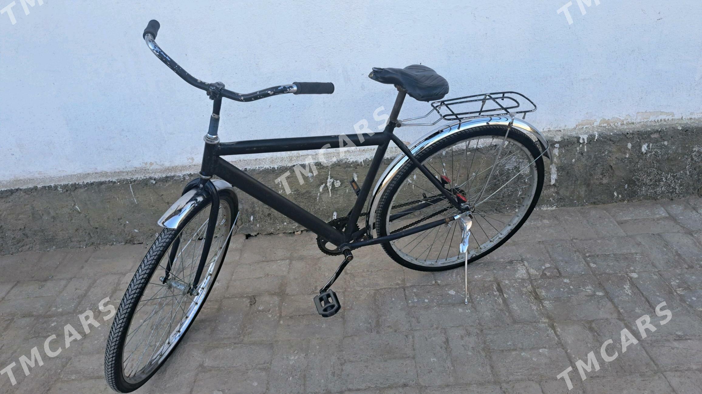 welik yagdeýy - Kerki - img 2