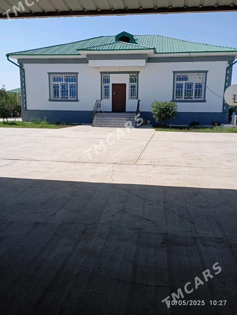 satlyk jay taze zaman - Тязе заман - img 2