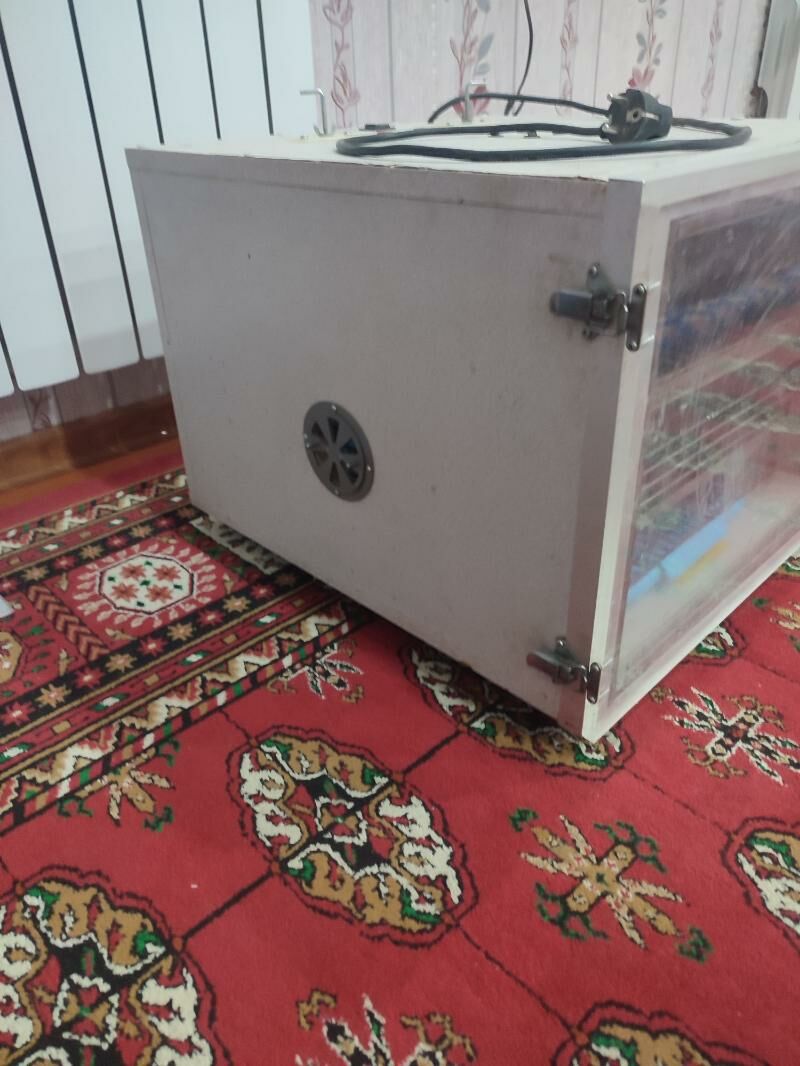 inkubator инкубатор - Tejen - img 4