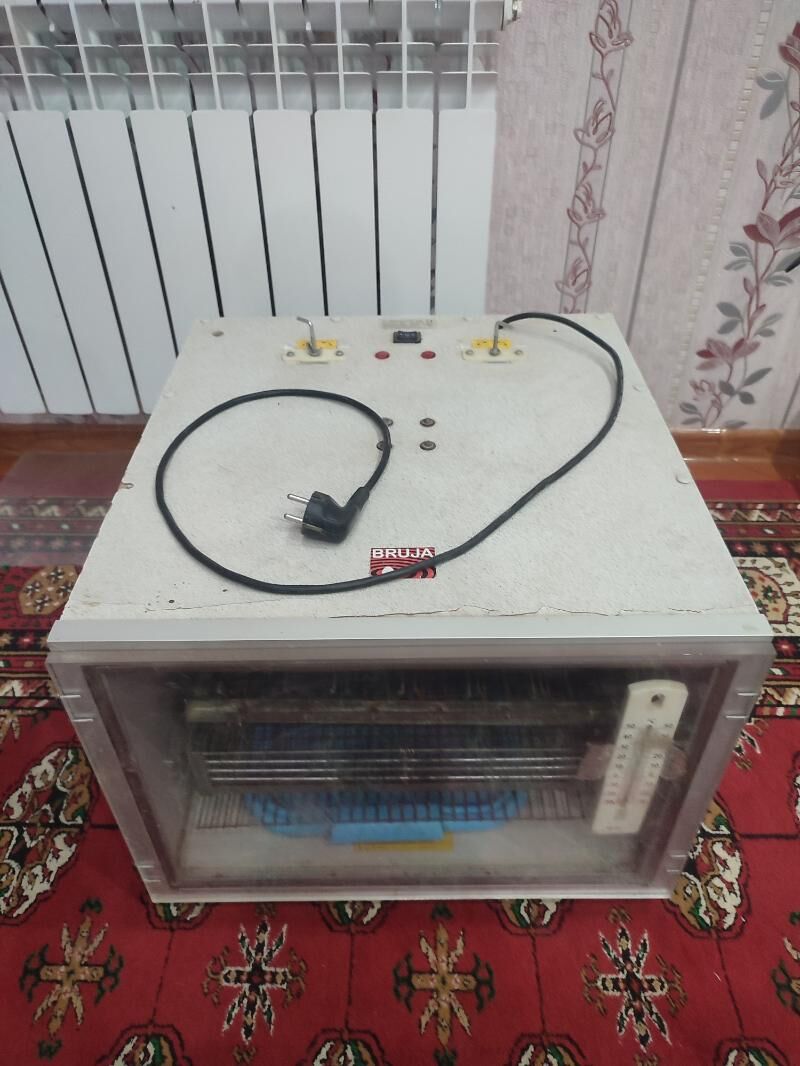 inkubator инкубатор - Tejen - img 5