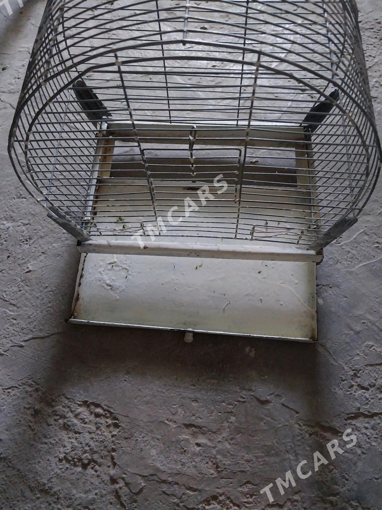Kletka - Büzmeýin GRES - img 2
