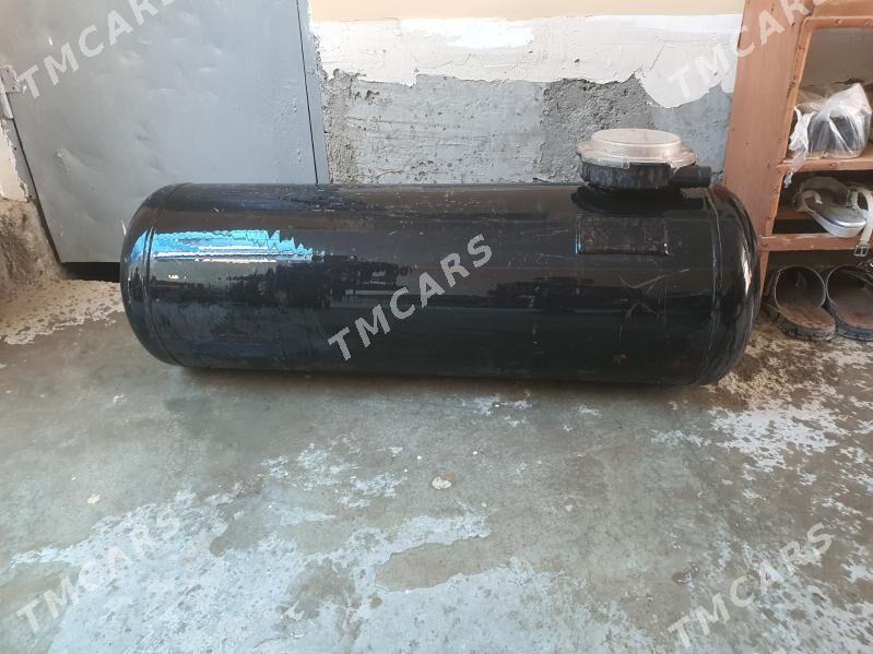 niwanyn gaz bagy - Türkmenabat - img 2