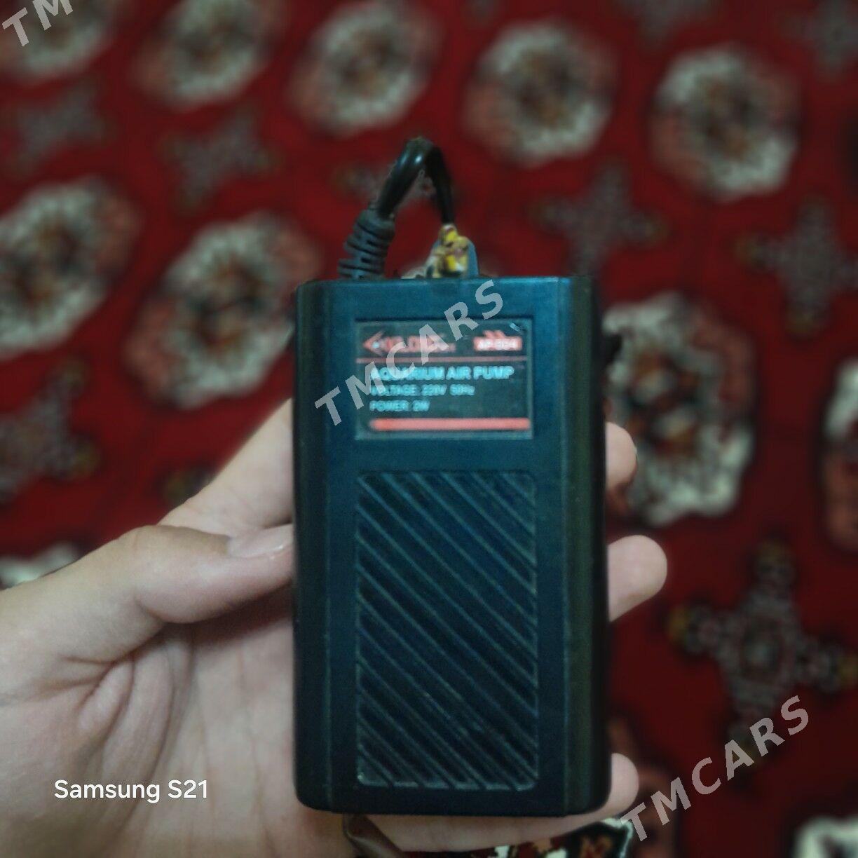 XILONG Kompressor - Daşoguz - img 2