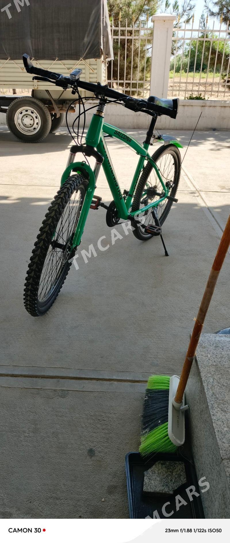 Turkmenistan tigir - Бедев - img 3