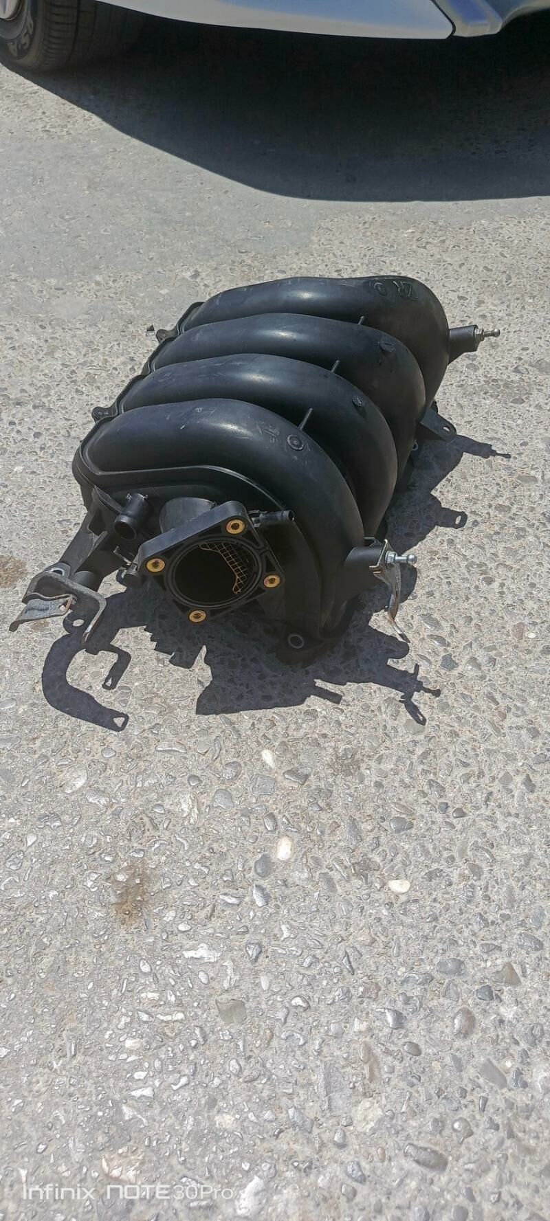 karolla pauk 600 TMT - Aşgabat - img 2