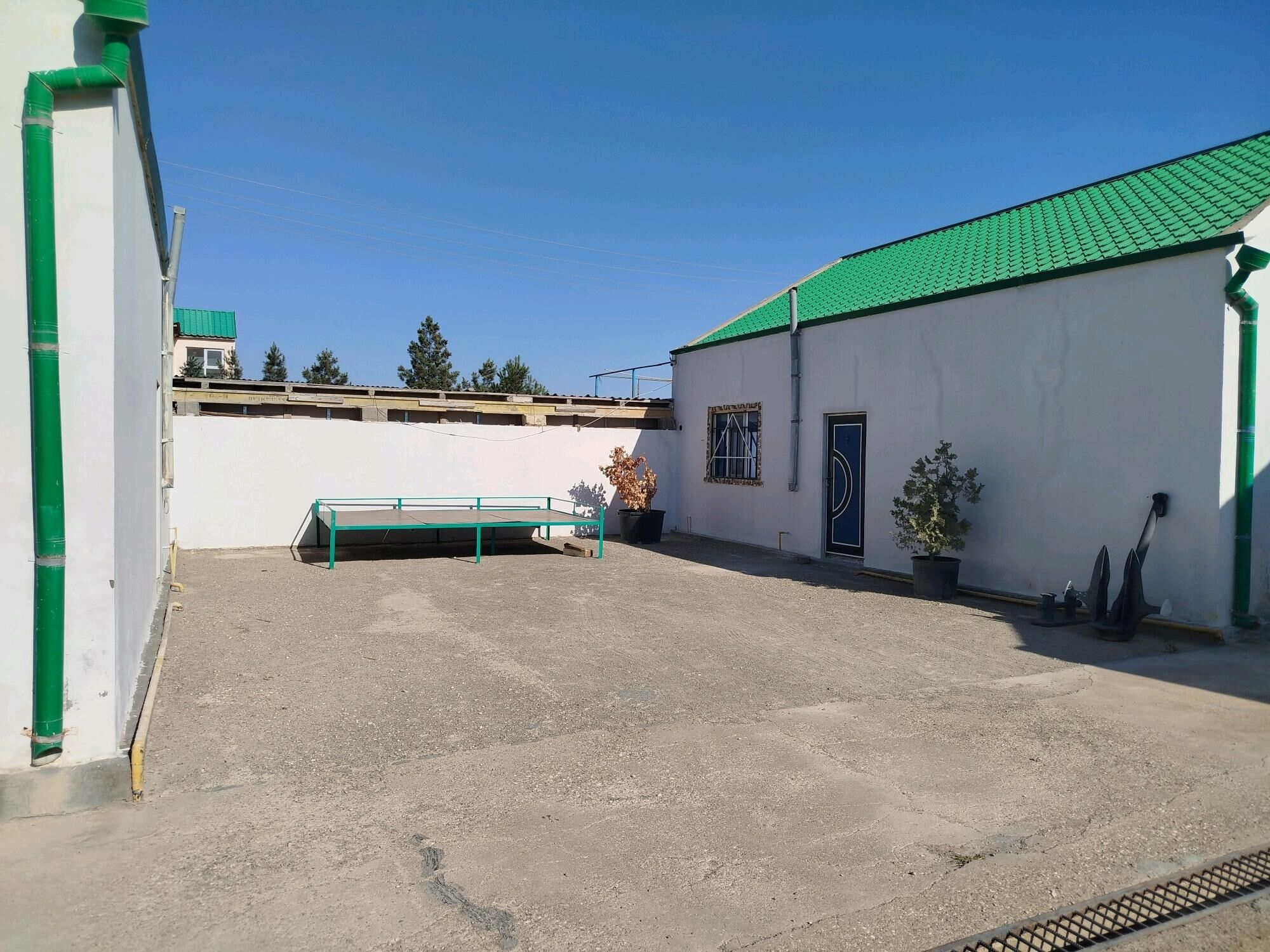 Gulmayakda daça - Туркменбаши - img 3