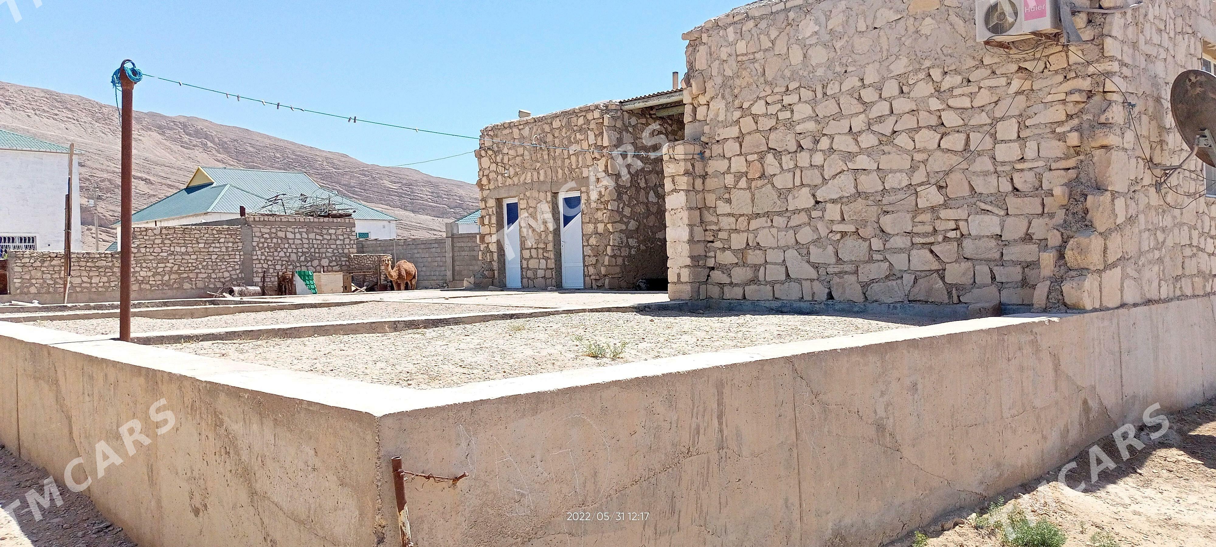satlyk jay - Jebel - img 7