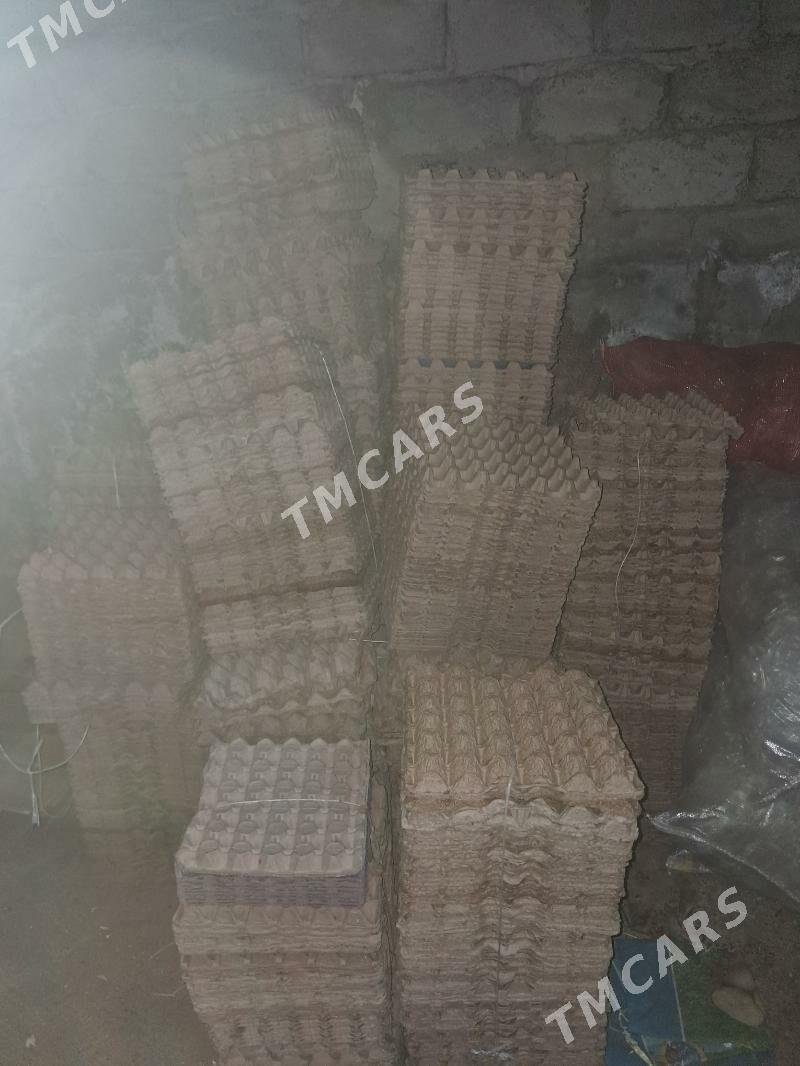 yumurtga latoklar - Gökdepe - img 2